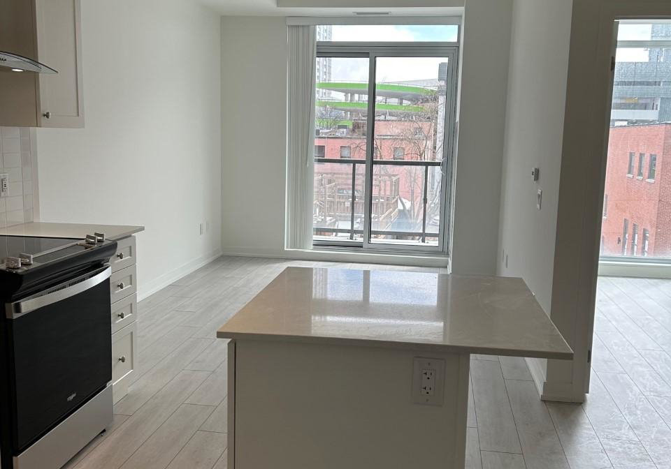 55-duke-street-w-kitchener-ontario-x12018097
