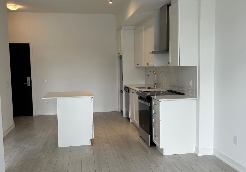 55-duke-street-w-kitchener-ontario-x12018097