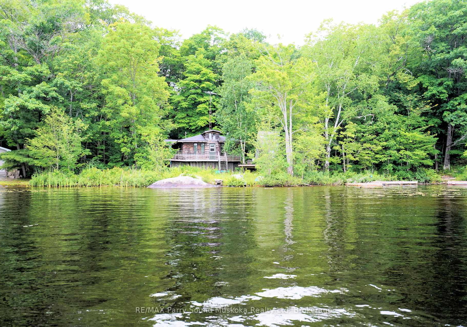 329-healey-the-archipelago-ontario-x12025836