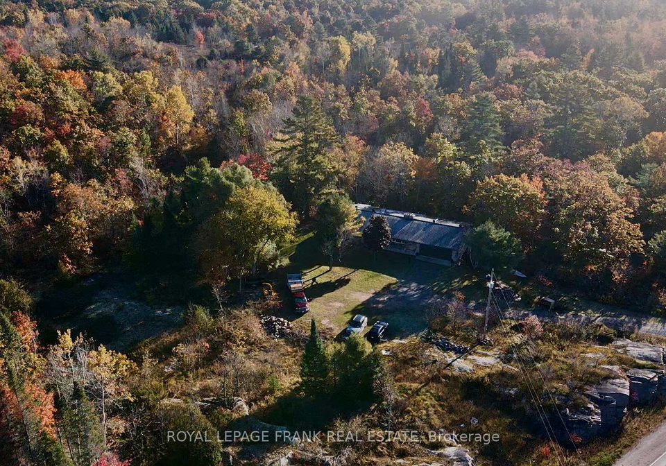 2567-county-road-36-trent-lakes-ontario-x12029022