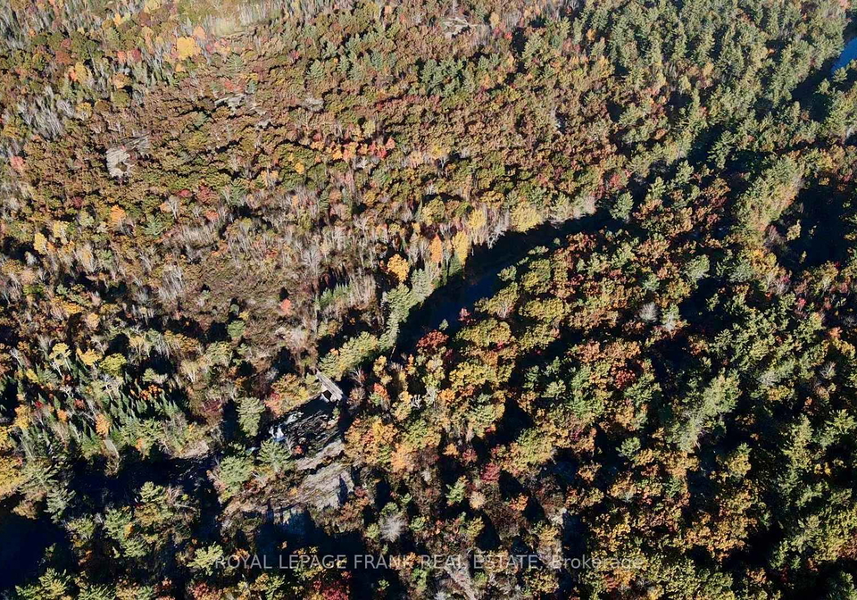 2567-county-road-36-trent-lakes-ontario-x12029022