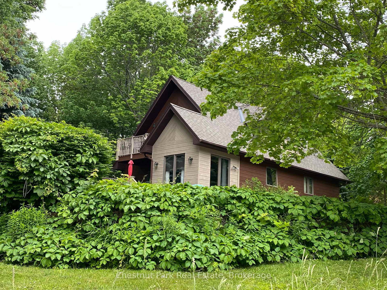 145-scott-street-georgian-bluffs-ontario-x12029130