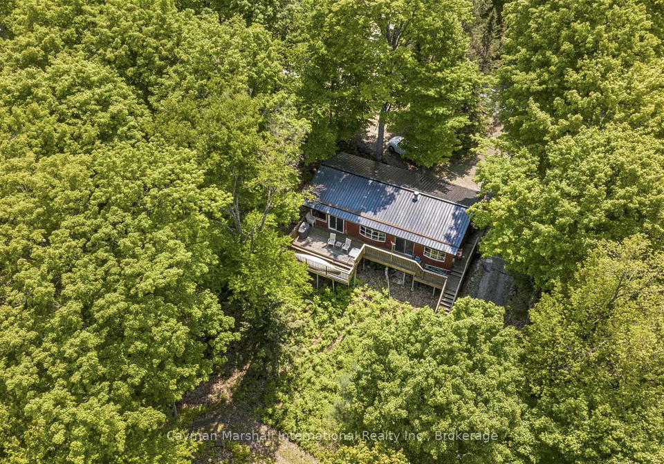316-north-drive-huntsville-ontario-x12064037
