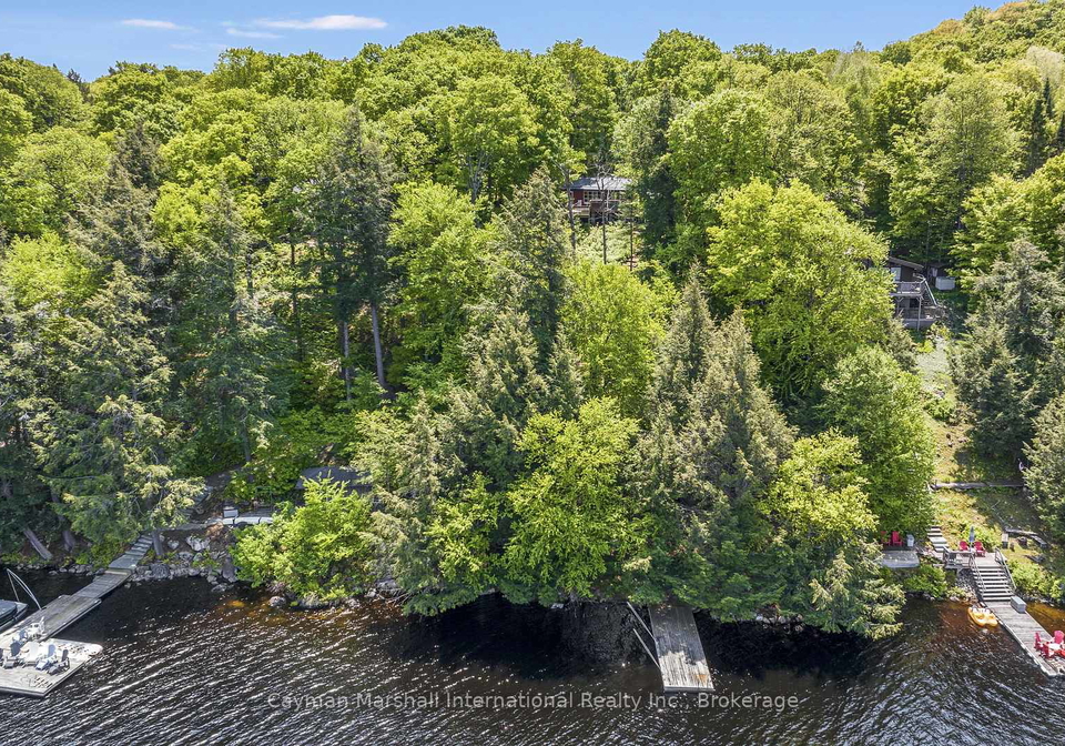 316-north-drive-huntsville-ontario-x12064037