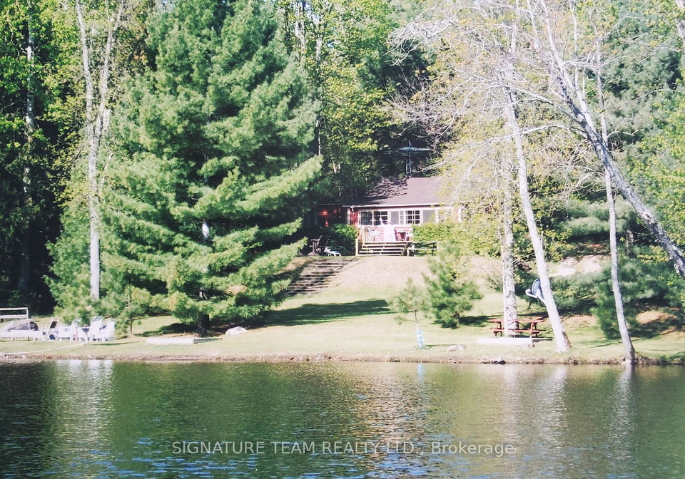 48-carty-road-north-algona-wilberforce-ontario-x12064080