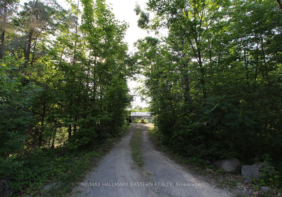 42-maple-road-marmora-and-lake-ontario-x12069754