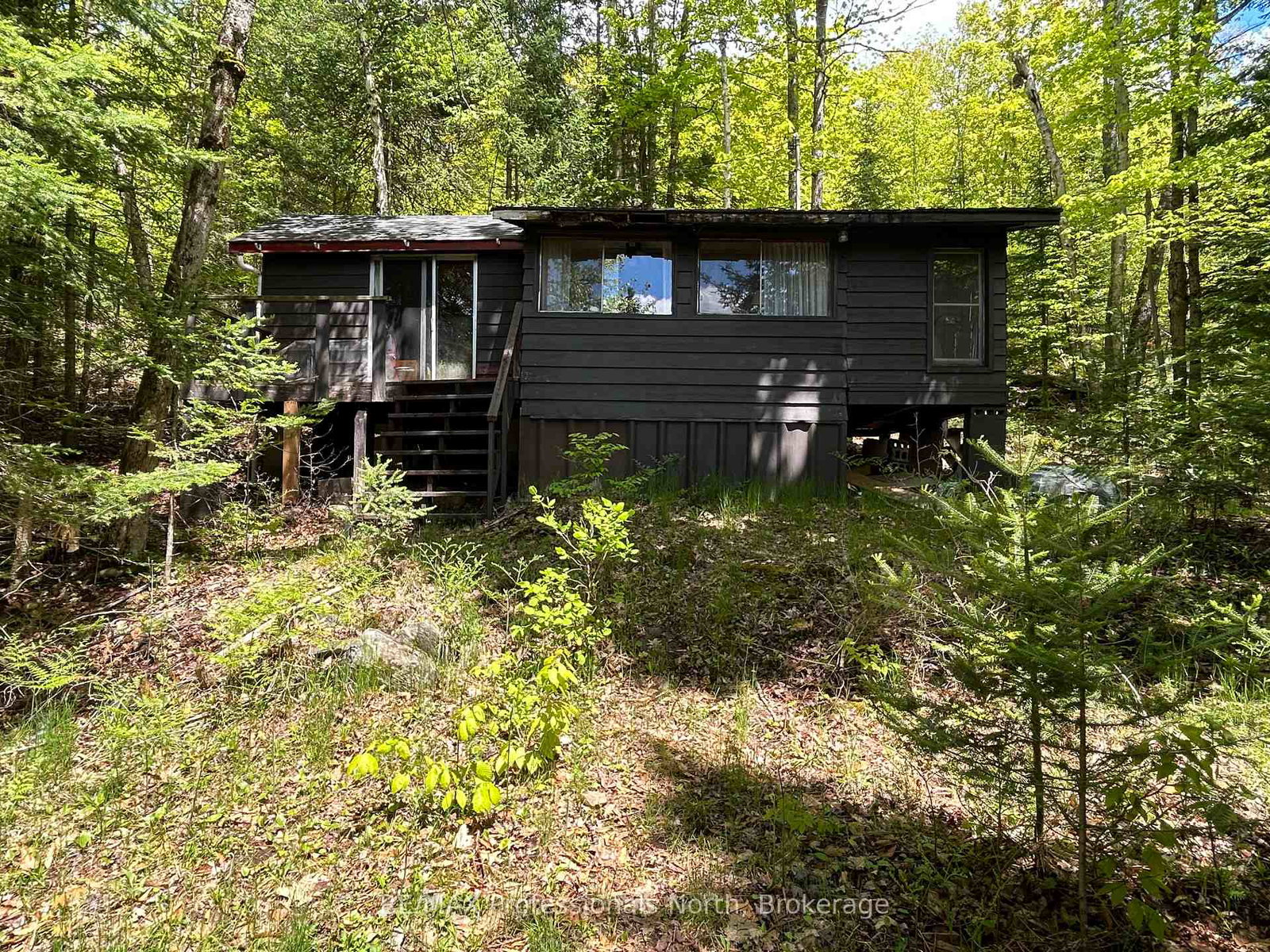 1202-poverty-bay-trail-minden-hills-ontario-x12083783