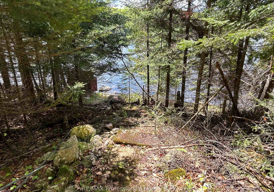 1202-poverty-bay-trail-minden-hills-ontario-x12083783
