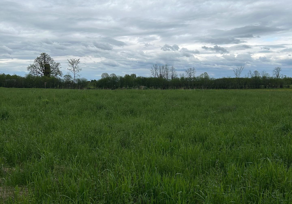 1462-drummond-school-road-drummondnorth-elmsley-ontario-x12089647