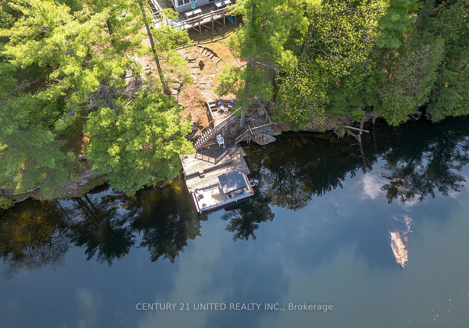 11085-gull-river-minden-hills-ontario-x12103602