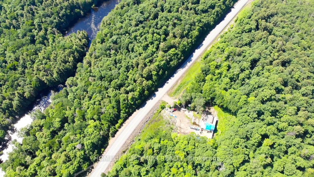3655-hwy-60-algonquin-highlands-ontario-x12103804