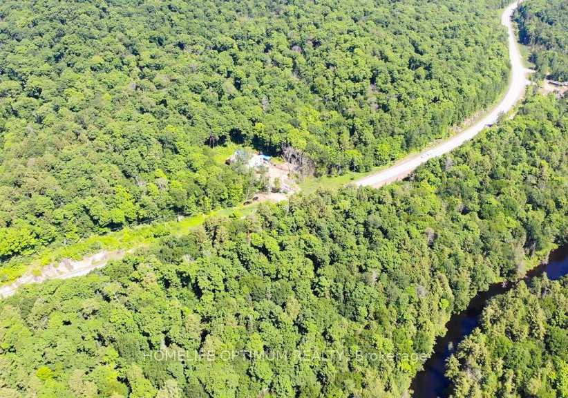 3655-hwy-60-algonquin-highlands-ontario-x12103804