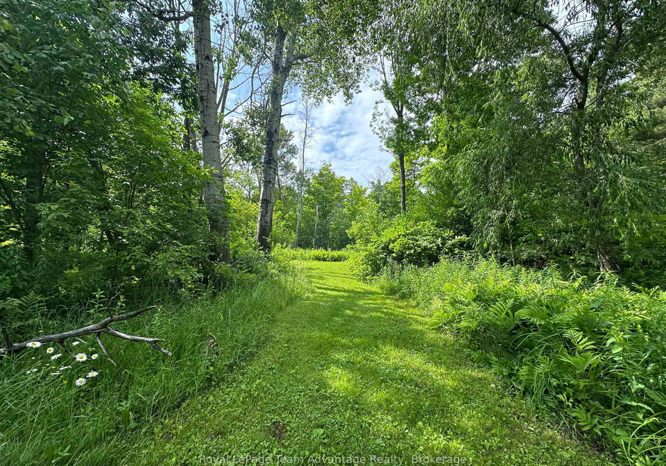 66-william-street-parry-sound-ontario-x12104961
