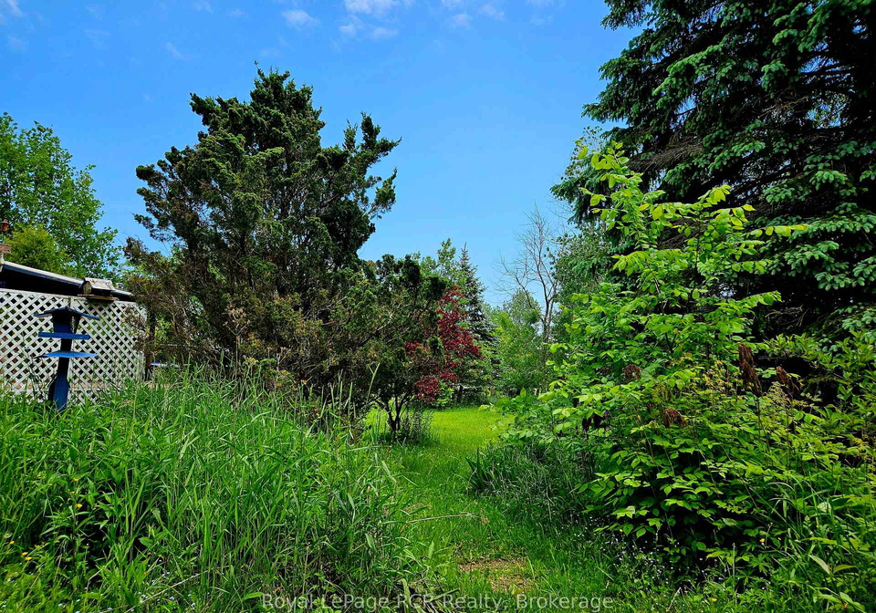 127-kirk-street-georgian-bluffs-ontario-x12110467