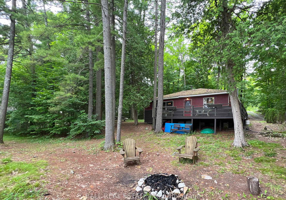 8-fire-route-48a-trent-lakes-ontario-x12115079