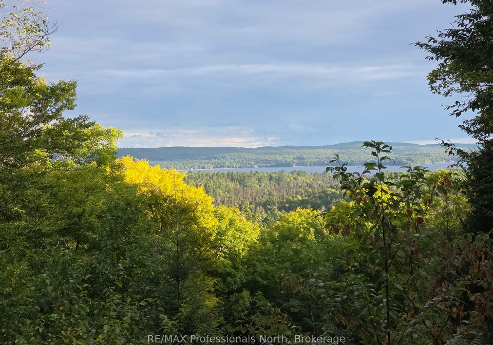 364-forestry-tower-road-kearney-ontario-x12115126