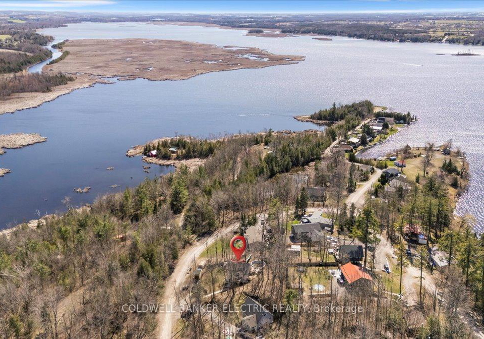 38-cliffside-drive-kawartha-lakes-ontario-x12115357