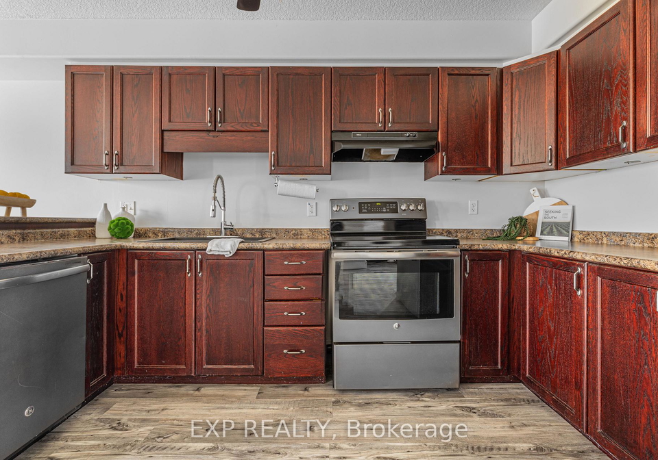 181-sophia-crescent-kitchener-ontario-x12116649