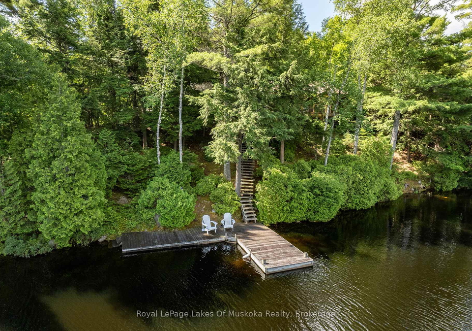 2401-bear-lake-road-algonquin-highlands-ontario-x12124291