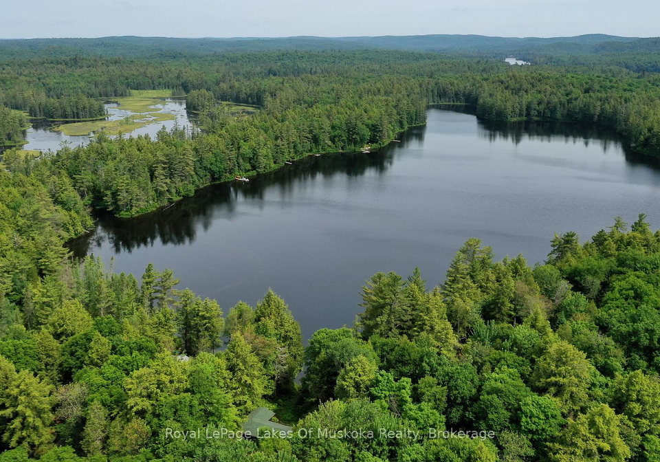 1086-south-toad-lake-road-lake-of-bays-ontario-x12126515