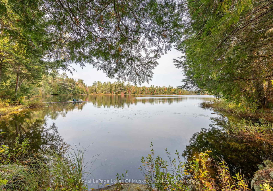 1086-south-toad-lake-road-lake-of-bays-ontario-x12126515
