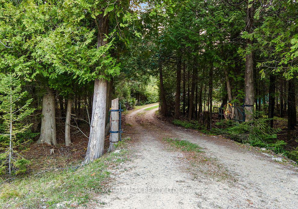 340611-4th-concession-b-road-grey-highlands-ontario-x12127066