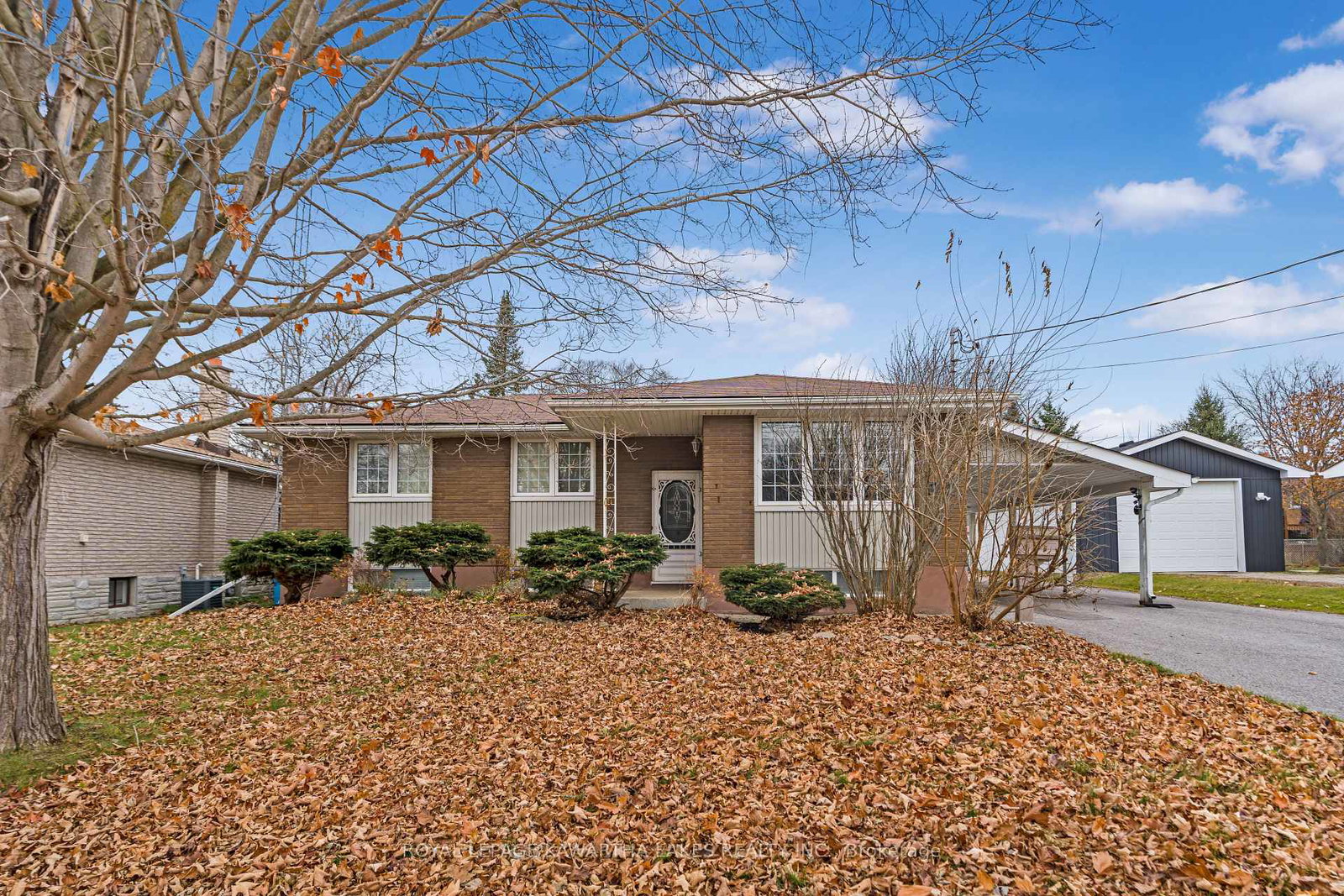 146-queen-street-kawartha-lakes-ontario-x12129465