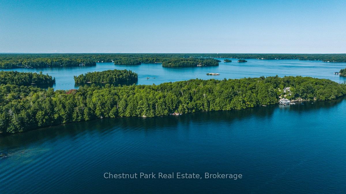 5-burgess-j31-island-muskoka-lakes-ontario-x12130190