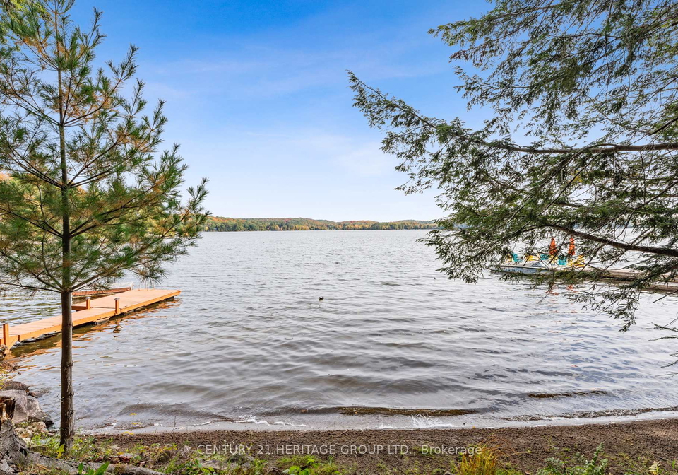 1464-north-shore-road-muskoka-lakes-ontario-x12131775