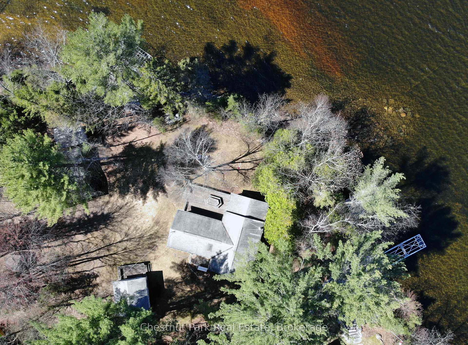 1036-abbey-lane-algonquin-highlands-ontario-x12133715