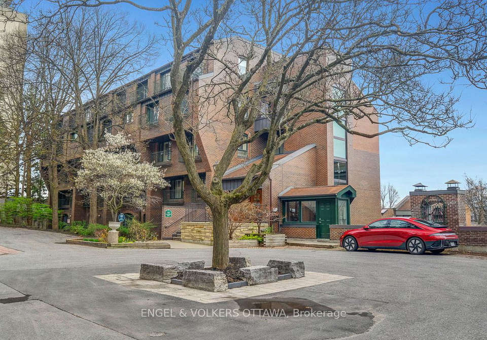 135-springfield-road-ottawa-ontario-x12148359