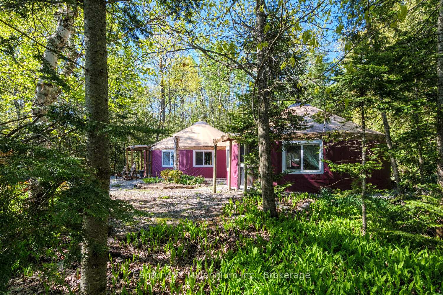 504569-grey-road-1-georgian-bluffs-ontario-x12150014