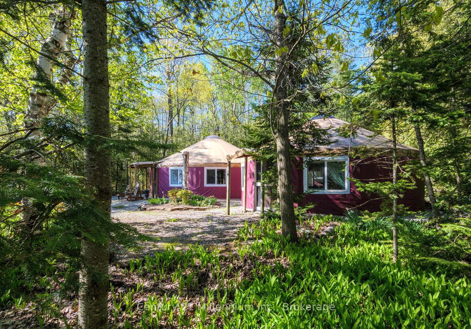 504569-grey-road-1-georgian-bluffs-ontario-x12150014