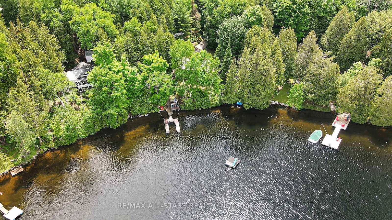 1233-crystal-lake-road-trent-lakes-ontario-x12151892