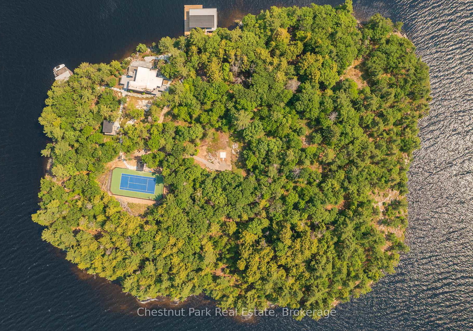 1-bass-muskoka-lakes-ontario-x12153220
