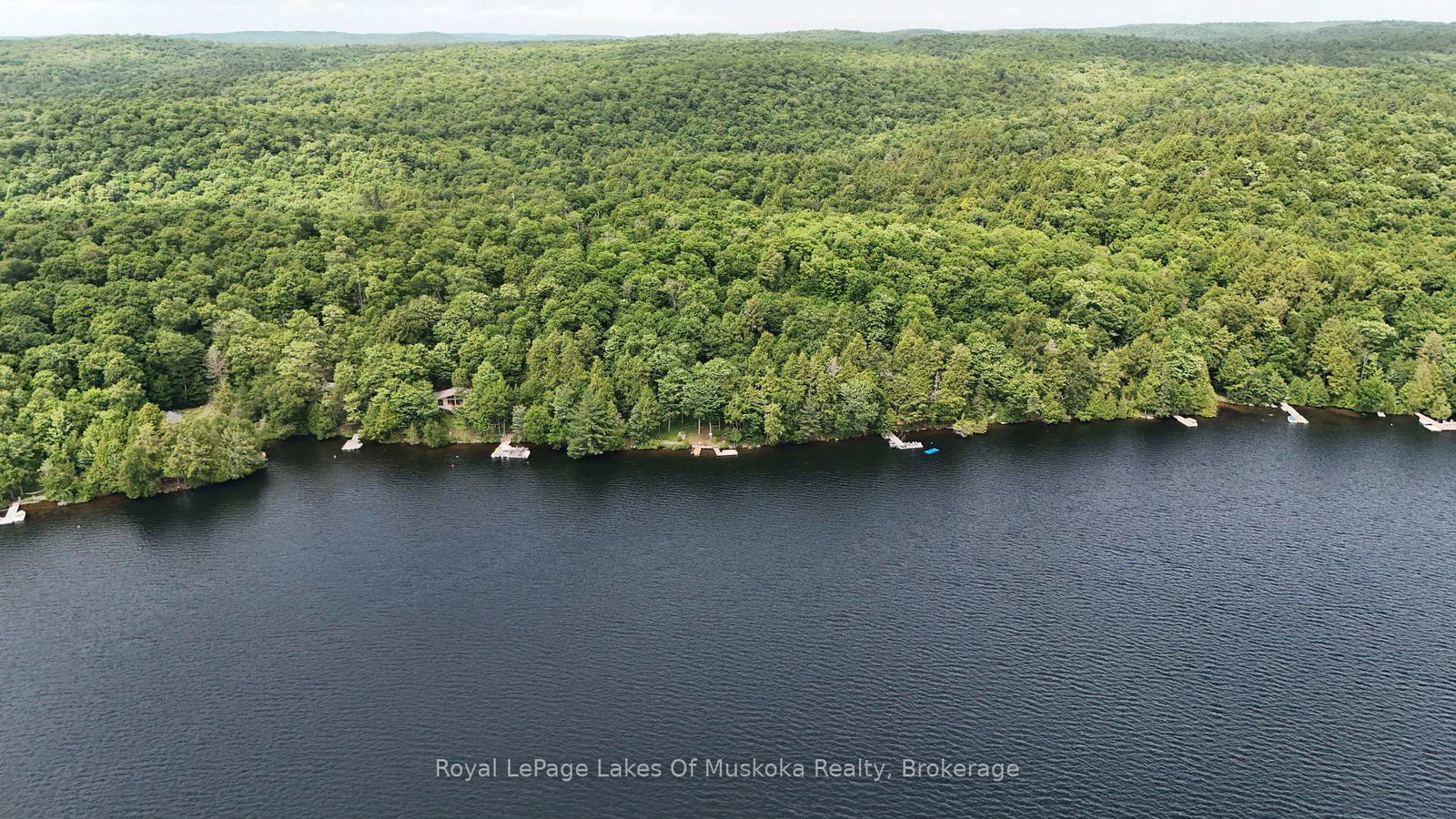 1002-camp-lake-road-lake-of-bays-ontario-x12153258