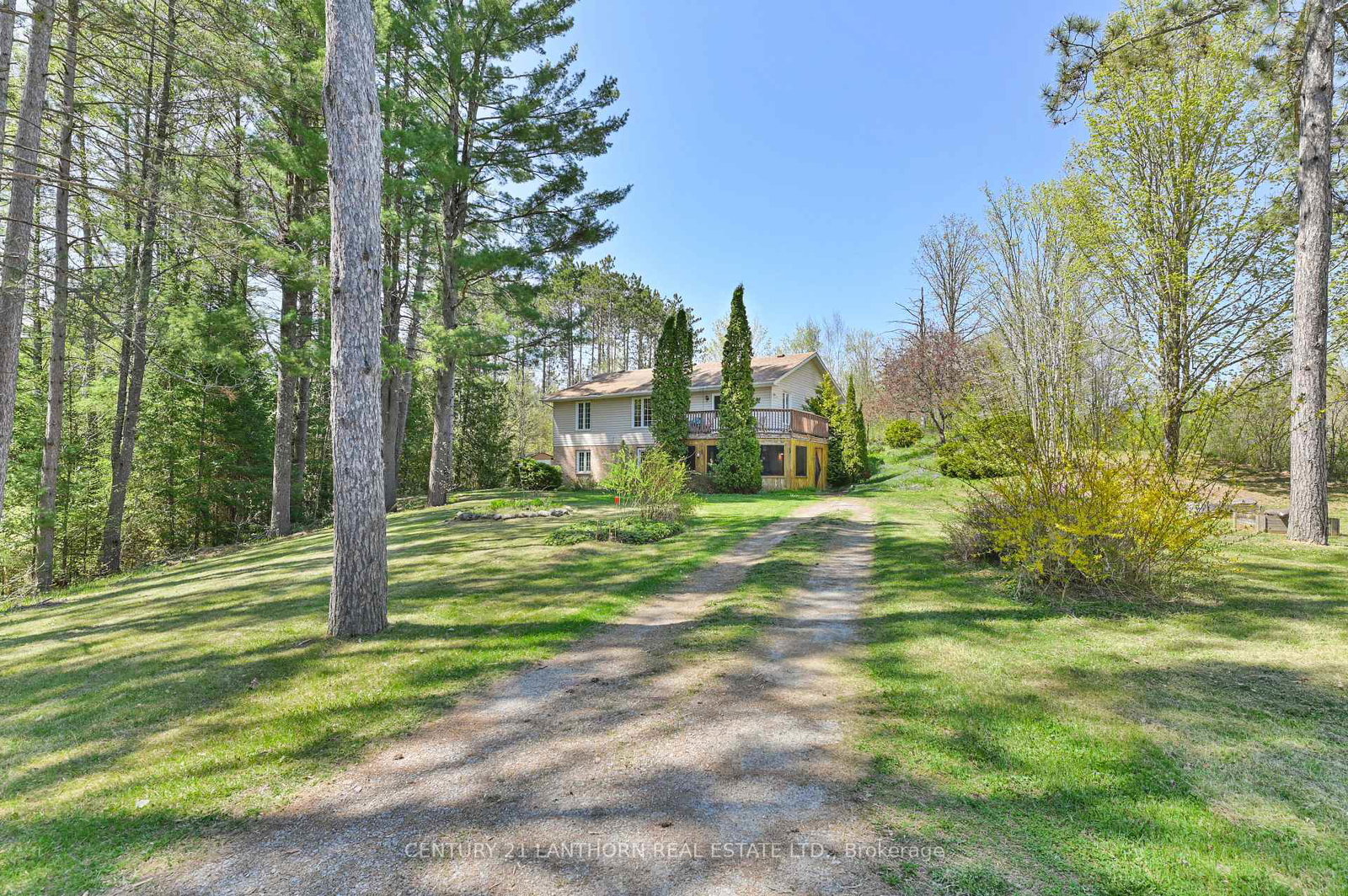 1165-barry-road-madoc-ontario-x12153659