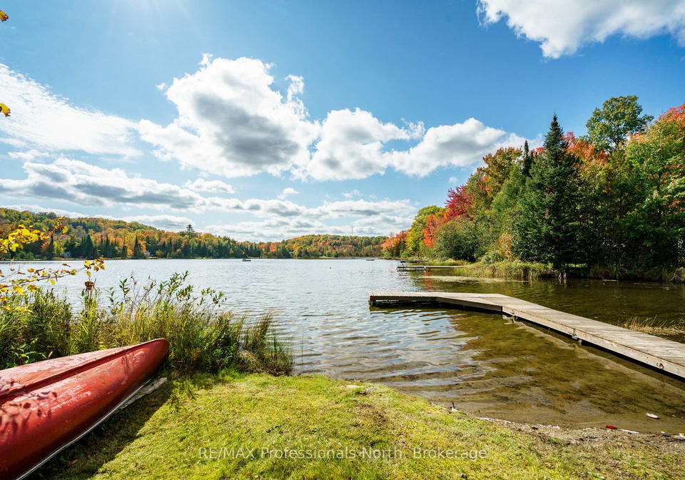 1179-sharon-lake-drive-minden-hills-ontario-x12153757