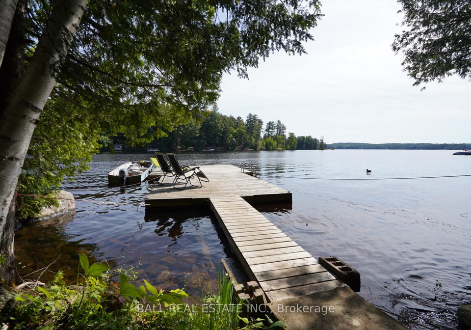 118-fire-route-277-trent-lakes-ontario-x12155249