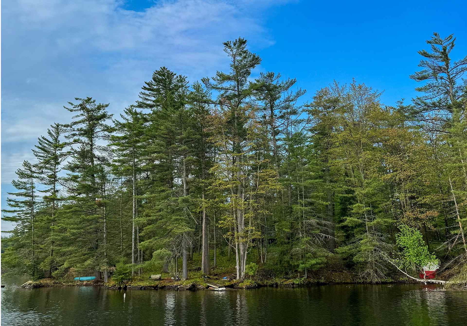1494-lost-channel-shore-georgian-bay-ontario-x12156452