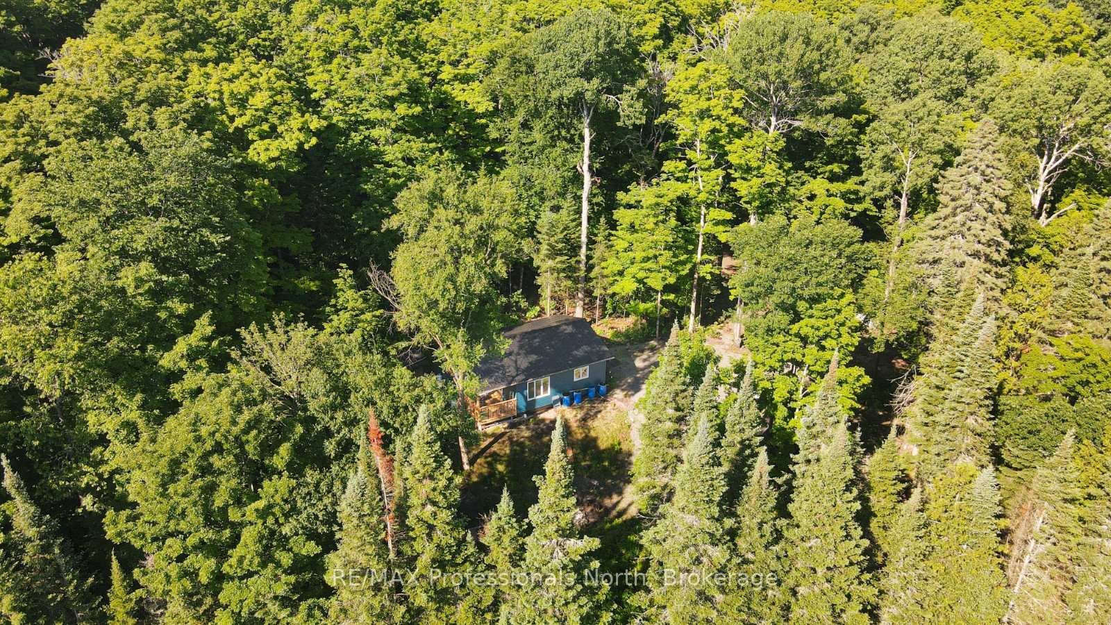 1596-paynes-road-highlands-east-ontario-x12159078