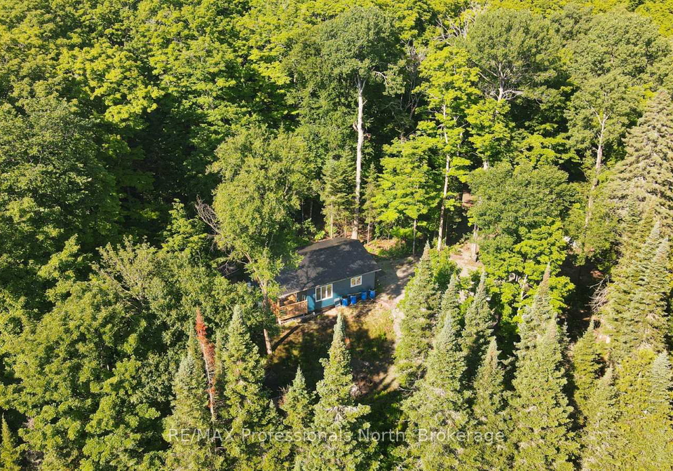 1596-paynes-road-highlands-east-ontario-x12159078