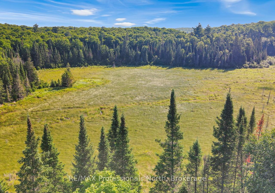1596-paynes-road-highlands-east-ontario-x12159078