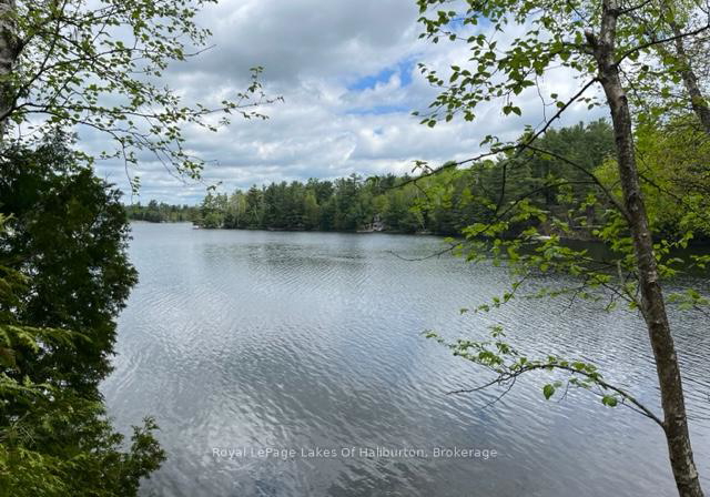 1183-kendrick-creek-lane-minden-hills-ontario-x12161324