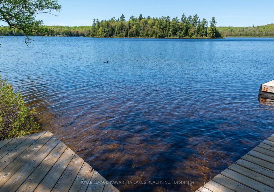 1307-adanac-road-highlands-east-ontario-x12164669