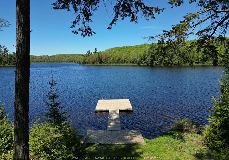 1307-adanac-road-highlands-east-ontario-x12164669