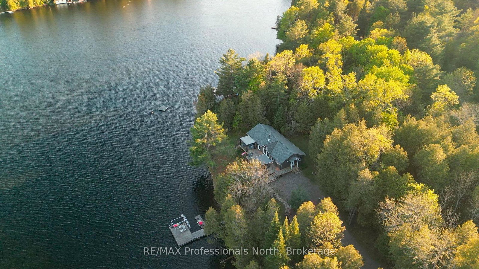 1484-bat-lake-road-minden-hills-ontario-x12165143