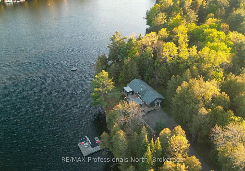 1484-bat-lake-road-minden-hills-ontario-x12165143