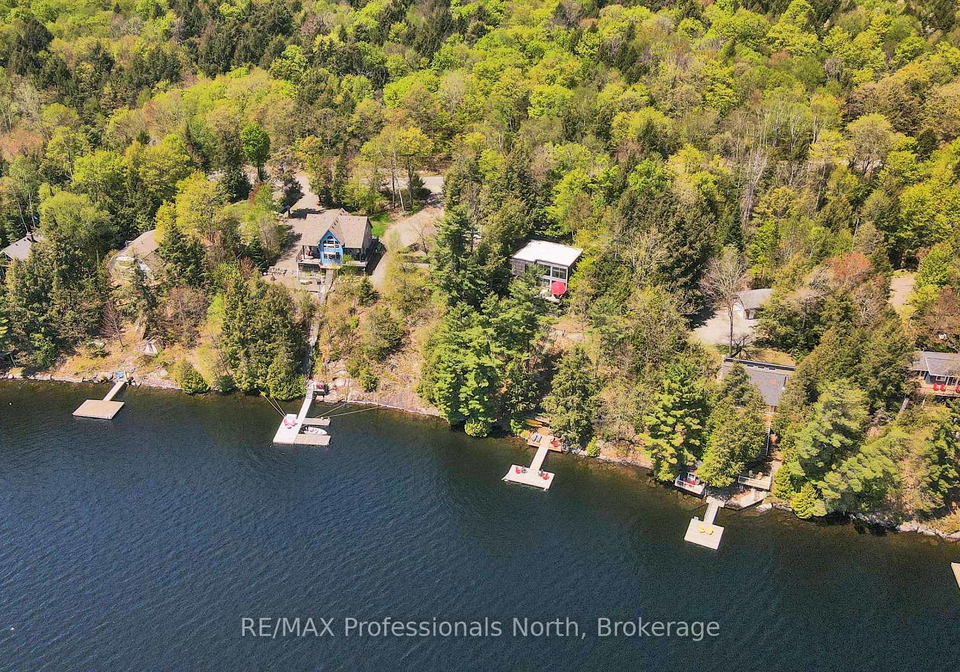 1004-lipton-drive-dysart-et-al-ontario-x12167089