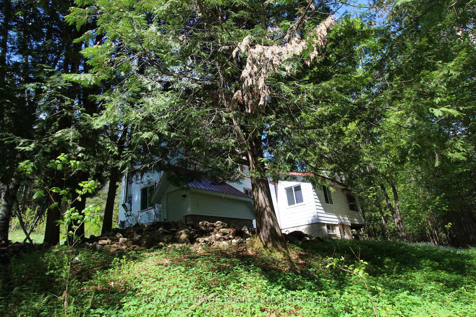 1059-tortoise-drive-highlands-east-ontario-x12168331